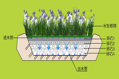 人工濕地技術(shù)